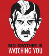 BigBrotherIsWatching2